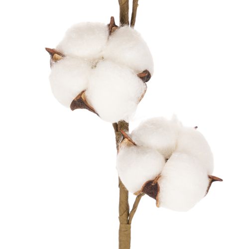Künstlicher Baumwollzweig mit 8 echten Blüten 78cm | Floristik24.de