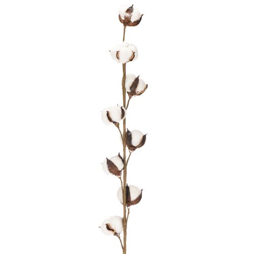 Künstlicher Baumwollzweig mit 8 echten Blüten 78cm | Floristik24.de