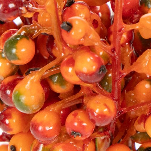Beerenbund Orange L20cm | Floristik24.de
