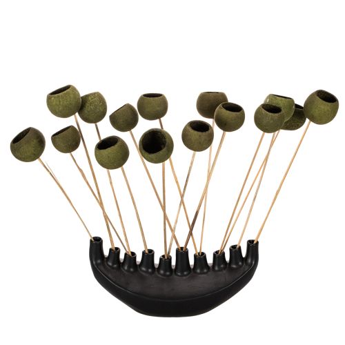 Bell Cup am Stiel Grün Getrocknete Exoten 5cm 15St | Floristik24.de