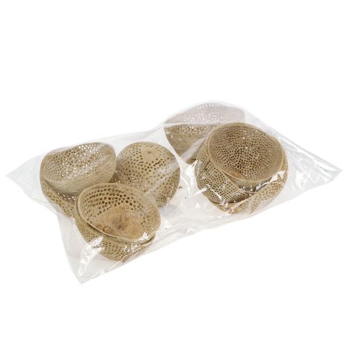 Artikel Trockenfrüchte Bell Cup Natur Trauerdeko 8,5-11cm 10 St