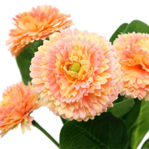 Floristik24 Gänseblümchen künstlich Pfirsichfarben 24cm 2St