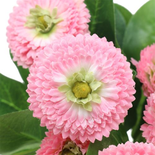Floristik24 Bellisbund Rosa 24cm 2St