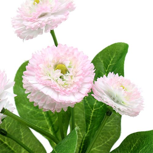 Floristik24 Bellispick Rosa  L 24cm