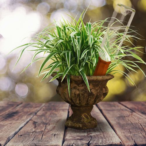 Bewässerungszapfen für Flaschen aus Terrakotta 18cm | Floristik24.de