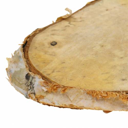 Floristik24 Holzscheiben Birke oval Natur 7,5×13cm 1kg