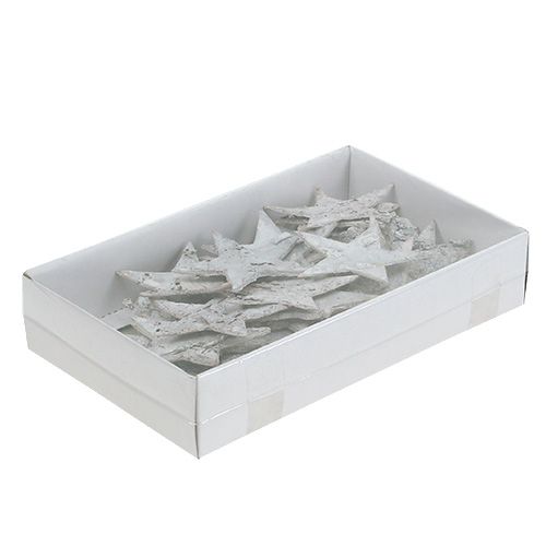 Floristik24 Birkenstern weißgewaschen 6,5cm 36 St