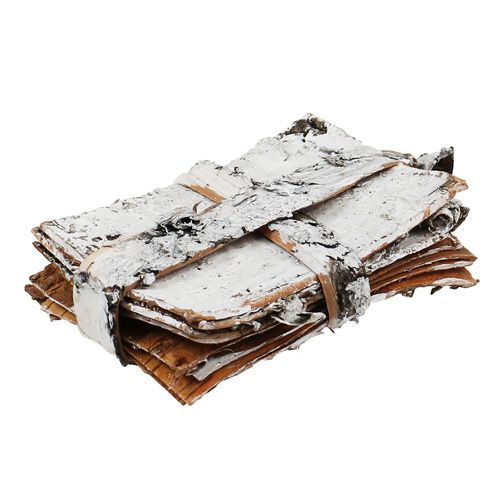 Floristik24 Birkenstreifen 8cm x 11,5cm 8 St