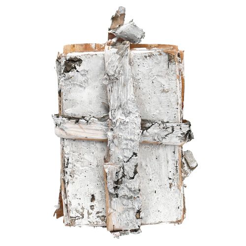 Floristik24 Birkenstreifen 8cm x 11,5cm 8 St