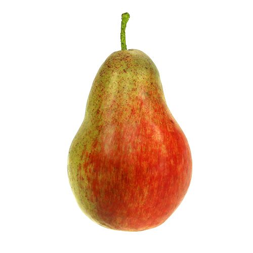 Floristik24 Birne Rot, Grün 11cm - 12cm 3St