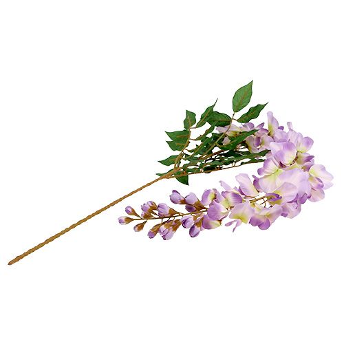 Floristik24 Blauregen Wisteria L104cm