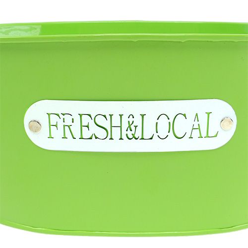 Floristik24 Blechschale oval Grün 22cm x 15cm H10cm