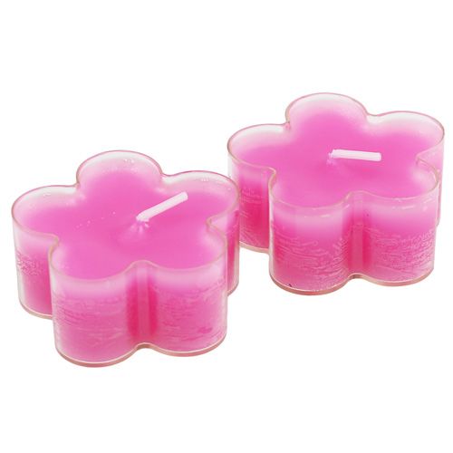 Blütenlicht Pink 12St | Floristik24.de