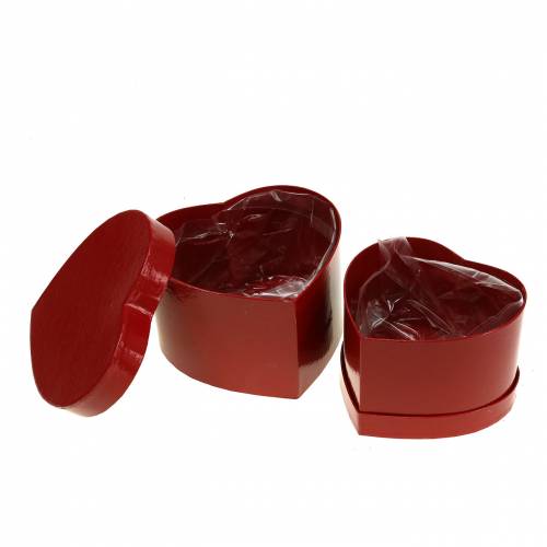 Floristik24 Blumenbox Herz Rot 14/16cm 2er-Set