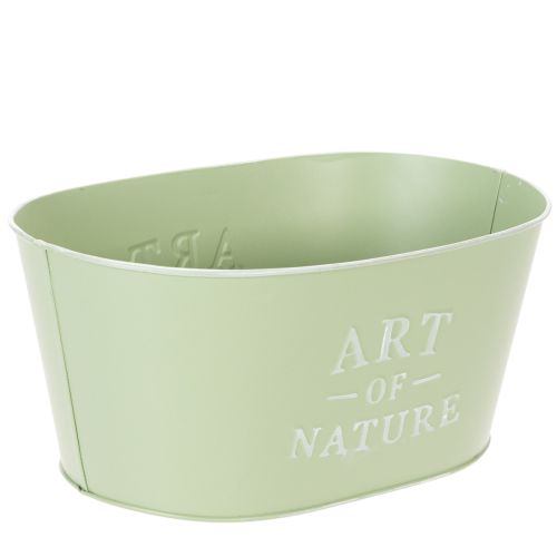 Blumenschale oval Zink Mintgrün 27×18cm H12,5cm | Floristik24.de