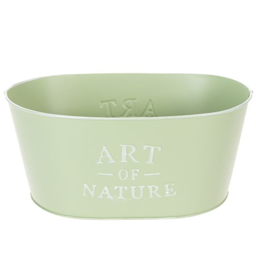 Blumenschale oval Zink Mintgrün 27×18cm H12,5cm kaufen | Floristik24.de