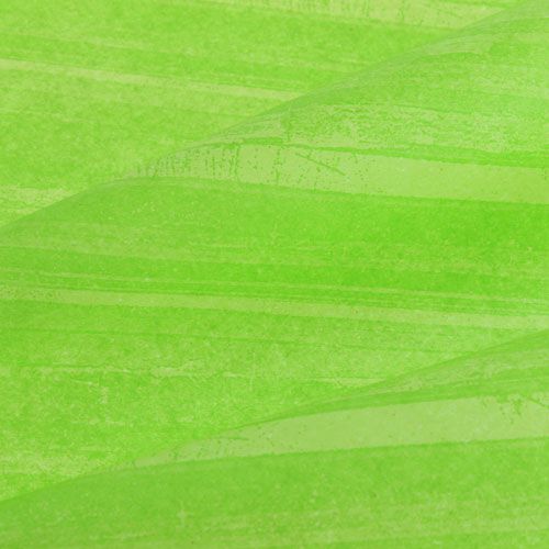 Floristik24 Blumenseide Trendline Grün 50cm 6kg