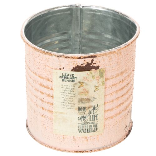 Blumentopf Deko Dose Lachs Metall Kräuterdose Ø8cm H7,5cm kaufen | Floristik24.de