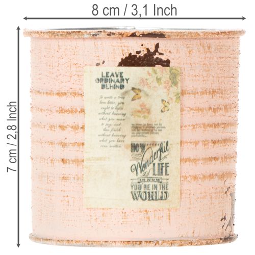 Blumentopf Deko Dose Lachs Metall Kräuterdose Ø8cm H7,5cm | Floristik24.de
