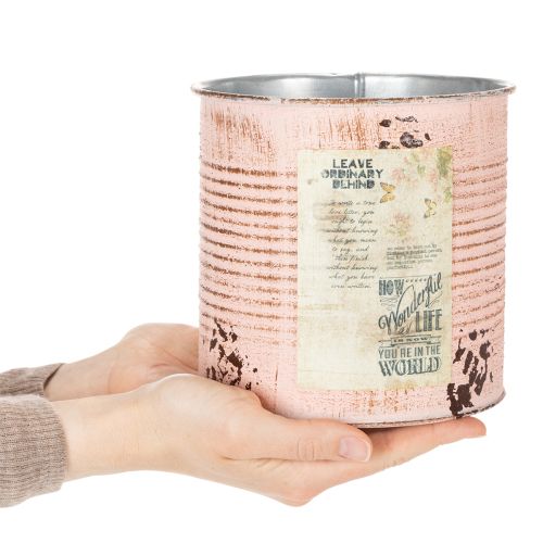 Blumentopf Deko Dose Lachs Metall Pflanzeimer Ø15,5cm H15cm | Floristik24.de