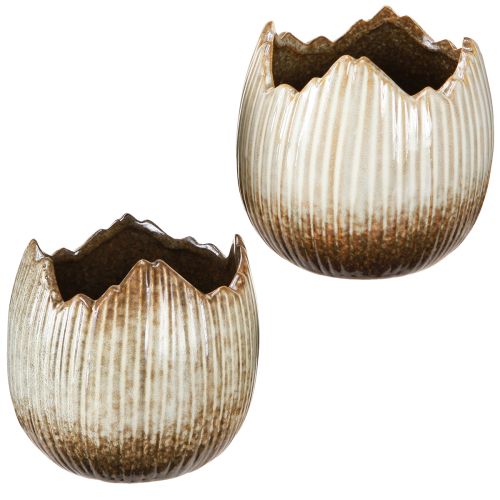 Blumentopf Keramik Ei Zerbrochen Creme Braun Ø11,5cm 2 St
