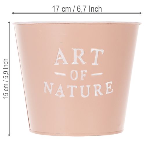 Blumentopf Zink Art of Nature Altrosa Ø17,5cm H15cm | Floristik24.de
