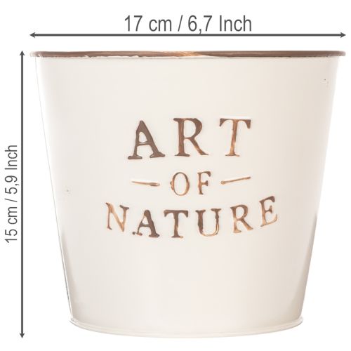 Blumentopf Zink Art of Nature Creme Ø17,5cm H15cm | Floristik24.de