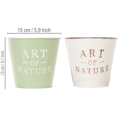 Übertopf Art of Nature mit Schriftzug Dekoration für Fensterbank und Wohnzimmer 15cm 2St | Floristik24.de