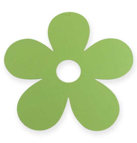 Floristik24 Holzblüte zum Hängen Ø25cm Grün