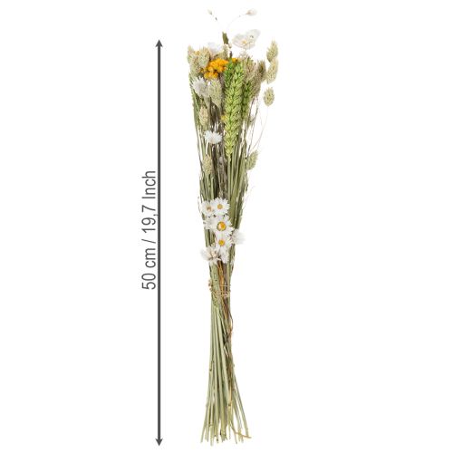 Floristik24 Trockenblumenstrauß eleganter Trockenstrauß für Wohnzimmer 50cm