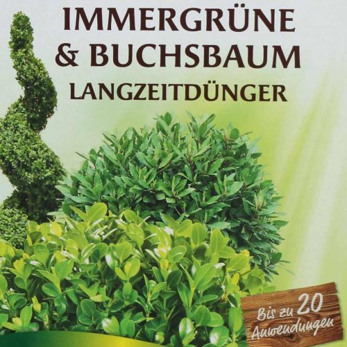 Floristik24 Immergrüne & Buchsbaum Langzeitdünger 300g