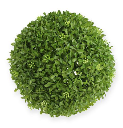 Floristik24 Buchskugel Ø25cm