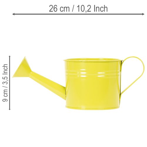 Bunte Gießkanne Deko Ø11cm H9,5cm zum Bepflanzen, Frühlingstischdeko Metall 8er-Set | Floristik24.de