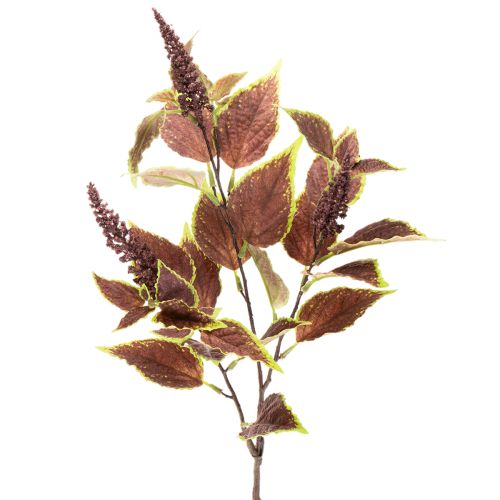 Künstliche Buntnessel mit roten Blättern Kunstpflanze 20cm kaufen | Floristik24.de