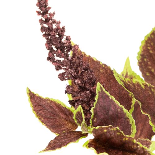 Künstliche Buntnessel mit roten Blättern Kunstpflanze 20cm | Floristik24.de