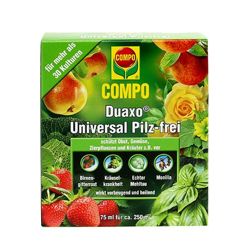Floristik24 COMPO Duaxo ® Universal Pilz-frei 75ml
