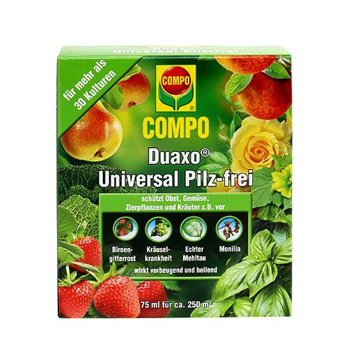 COMPO Duaxo ® Universal Pilz-frei 75ml