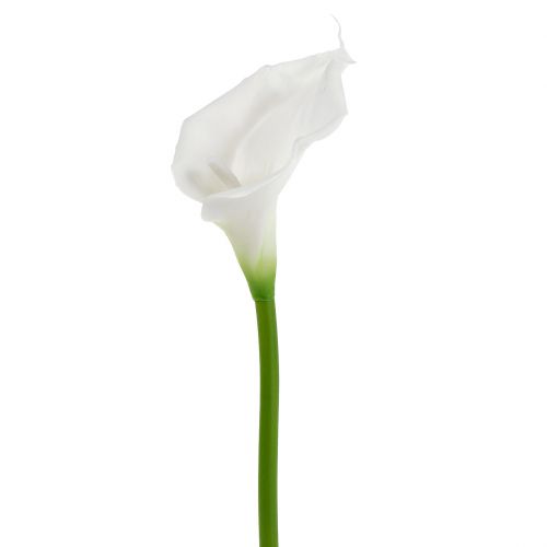 Calla Seidenblume Kunstblume Kunstpflanze weiß creme L 78 cm 11342-40 F17 