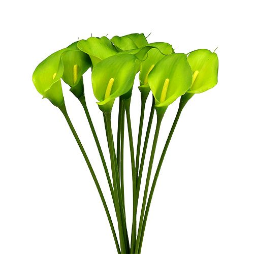 Floristik24 Calla künstlich Grün 8cm L57cm 12St