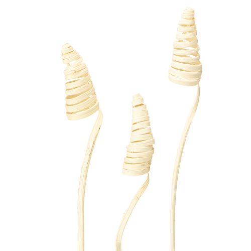 Floristik24 Cane Cone gebleicht 25 St