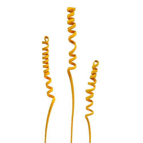 Cane Spring mini Goldgelb 25 St