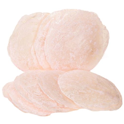 Capiz Muscheln Perlmuttscheiben Deko Muscheln Hellrosa Ø8cm