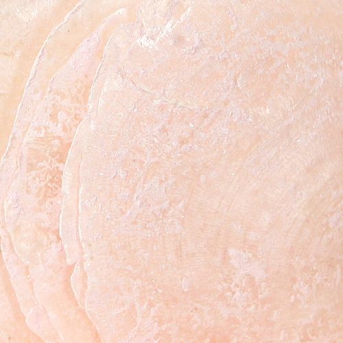 Floristik24 Capiz Muscheln Perlmuttscheiben Deko Muscheln Hellrosa Ø8cm