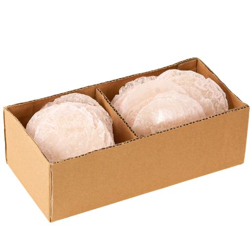 Floristik24 Capiz Muscheln Perlmuttscheiben Deko Muscheln Hellrosa Ø8cm