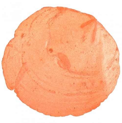 Floristik24 Capiz Muscheln Capizscheiben Perlmuttscheiben Orange 7,5–9,5cm 300g