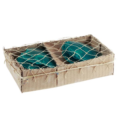 Floristik24 Capiz Muscheln Capizscheiben Perlmuttscheiben Türkis 7,5–9,5cm 300g