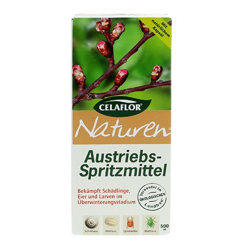 Floristik24 Celaflor® Naturen Austriebs-Spritzmittel 500ml