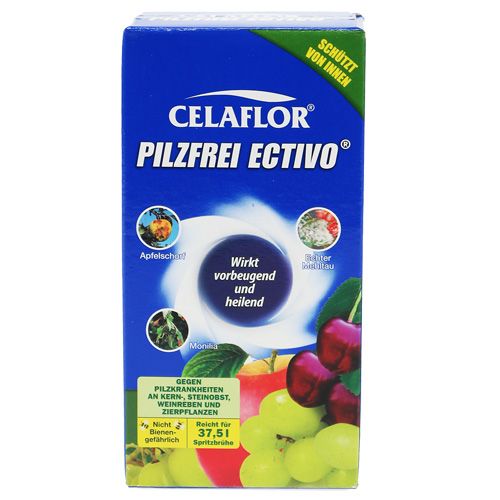 Floristik24 Celaflor Pilzfrei Ectivo 250 ml