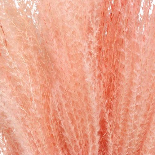 Artikel Miscanthus Chinaschilf Hellrosa Trockengras 75cm Kunstpflanze Raumdeko 10 Stk