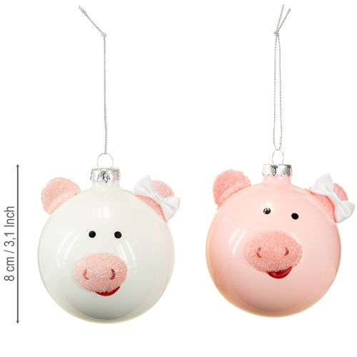 Floristik24 Christbaumkugel Schwein Rosa Weiß Glaskugel Ø8cm 2St